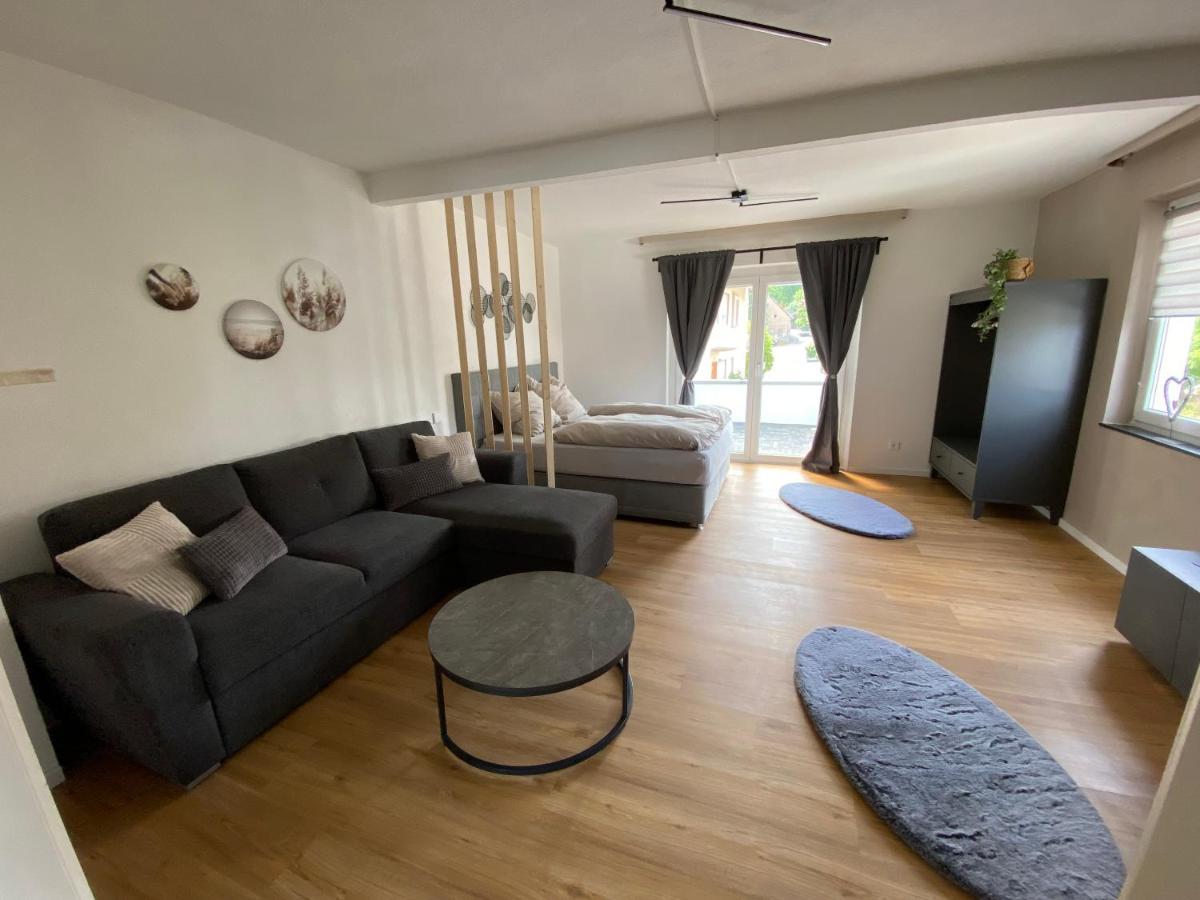 Fewo Kuemo II An Der Regnitz Bischberg'S Экстерьер фото